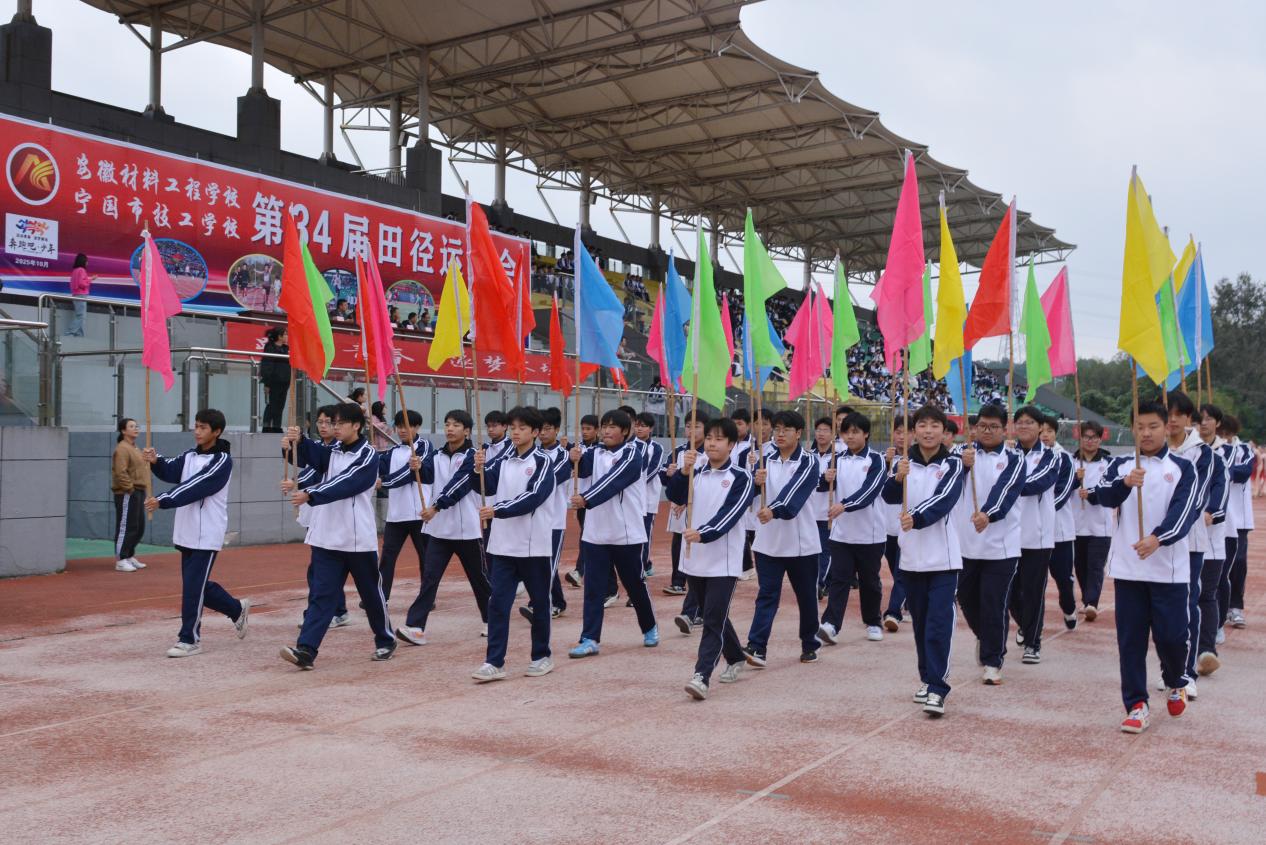 彩旗队 彩旗队