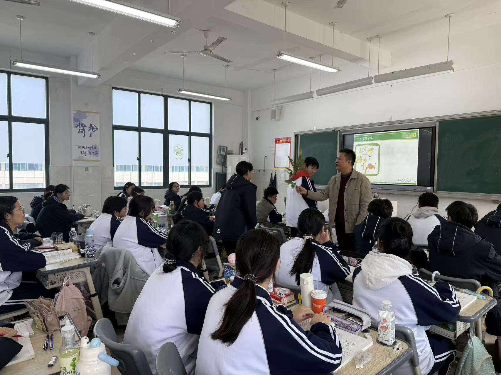 图片1.png 图片1.png